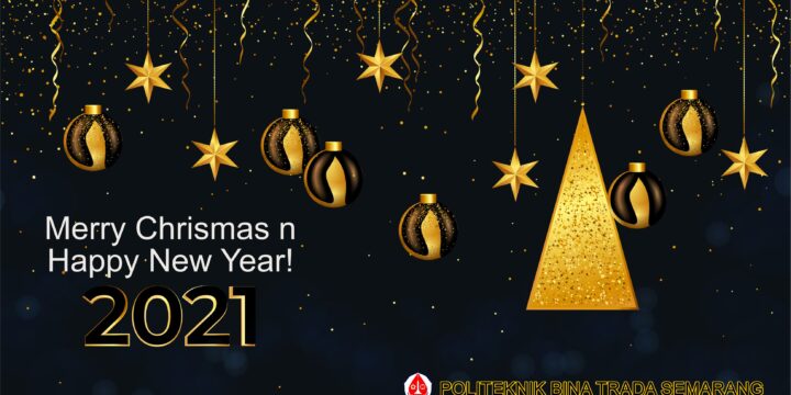 Merry Christmas and Happy New Year 2021